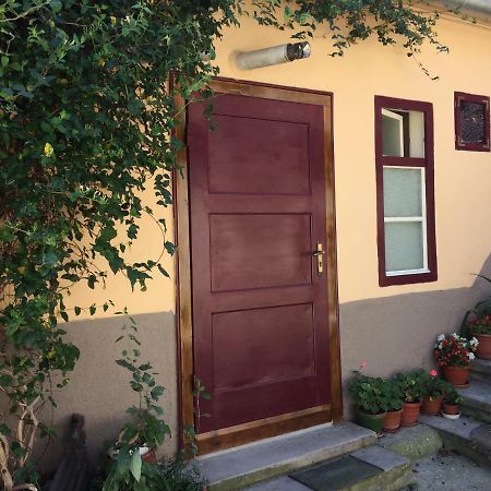 Iony Apartament Hermannstadt Exterior foto