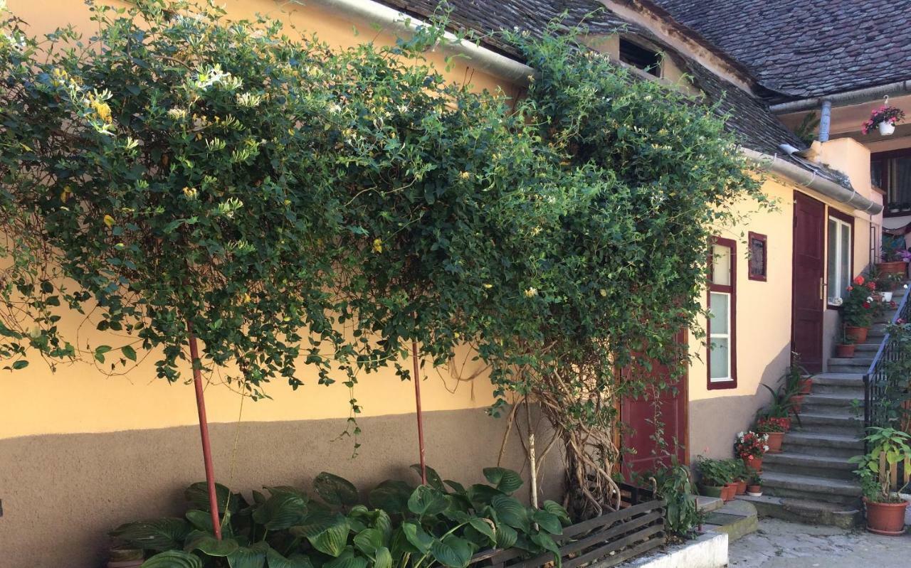 Iony Apartament Hermannstadt Exterior foto